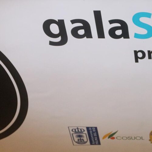 NEW MISSION ACCOMPLISHED: galaSAT THREE