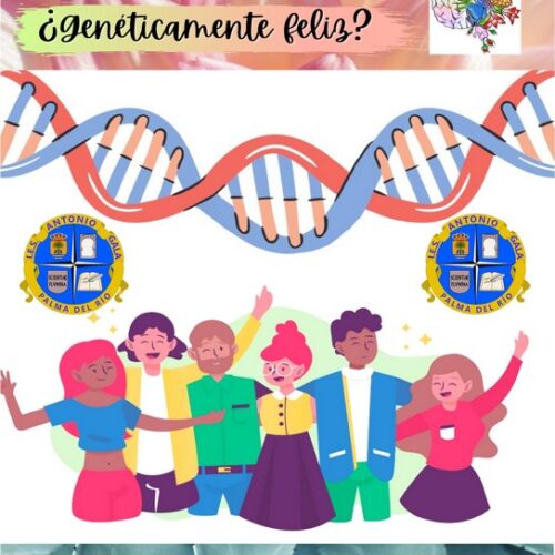 CULTURA CONCIENCIA: 2º PODCAST