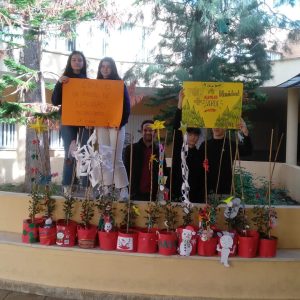 Nuestros algarrobos decorados en «Un árbol por Navidad»