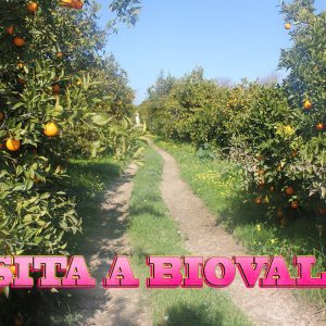 VISITA A BIOVALLE EN PALMA DEL RÍO