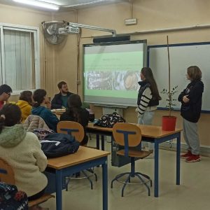 Campaña «Un árbol por Navidad»