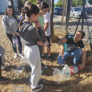 Cuidando de nuestros algarrobos