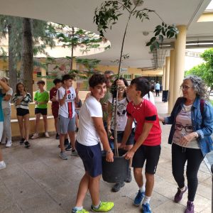 Plantando árboles en el instituto