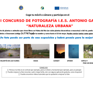 PUBLICADO EL II CONCURSO DE FOTOGRAFÍA I.E.S. ANTONIO GALA: «NATURALEZA URBANA»