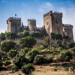 VISITA AL CASTILLO DE ALMODÓVAR