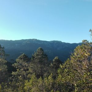 VIAJE A CAZORLA. DÍA 2