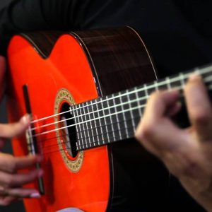 CONFERENCIAS DE FLAMENCO