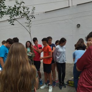 Intercambio y plantación de árboles con Grama