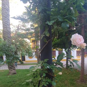 ENTREGA DEL PREMIO AL II CONCURSO DE FOTOGRAFÍA I.E.S. ANTONIO GALA: «NATURALEZA URBANA»