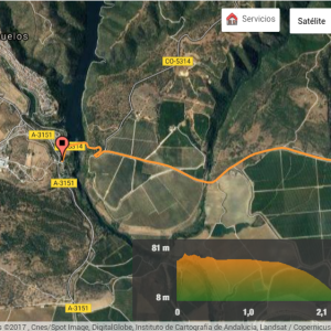 VISITA A LOS YACIMIENTOS DE NUBLOS Y CAMBUCO