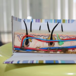 VISITAS GUIADAS AL LABORATORIO