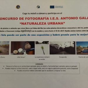 I CONCURSO DE FOTOGRAFÍA I.E.S. ANTONIO GALA: «NATURALEZA URBANA»