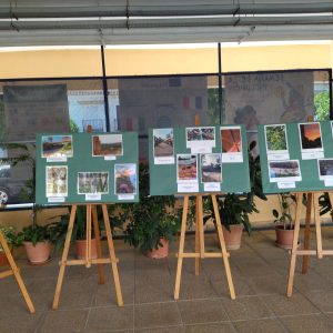 EXPOSICIÓN DE FOTOS SOBRE NATURALEZA URBANA